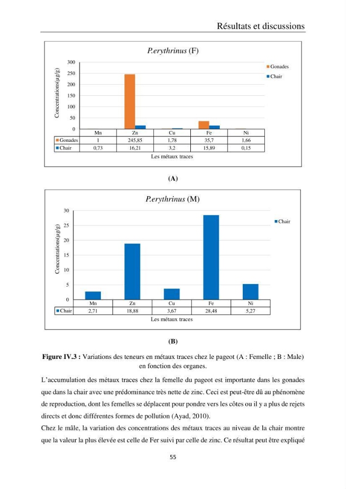 Etude de la bioaccumulation des métaux traces par trois poissons démersaux dans le golfe de Ghazaouet: