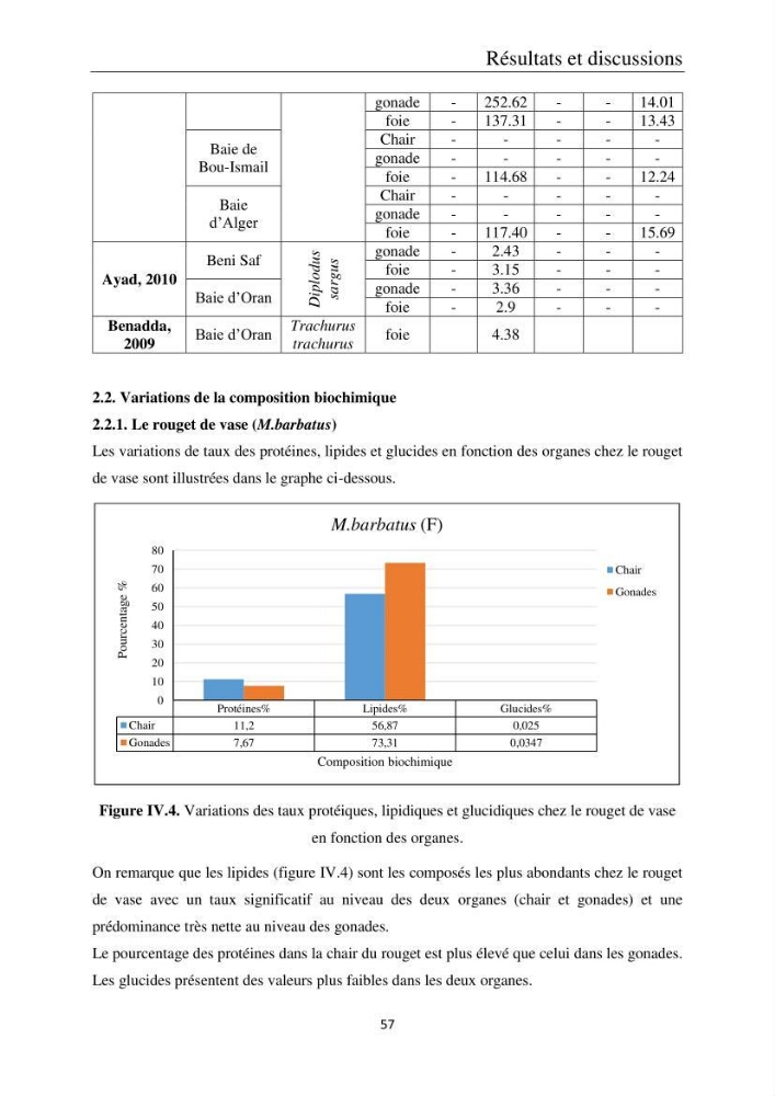 Etude de la bioaccumulation des métaux traces par trois poissons démersaux dans le golfe de Ghazaouet: