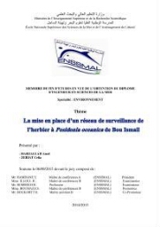 La mise en place d'un réseau de surveillance de l'herbier à posidonia oceanica de Boui-Ismail