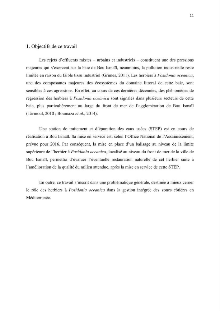 La mise en place d\'un réseau de surveillance de l\'herbier à posidonia oceanica de Boui-Ismail
