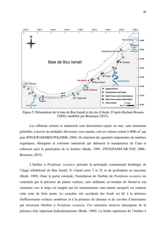 La mise en place d\'un réseau de surveillance de l\'herbier à posidonia oceanica de Boui-Ismail