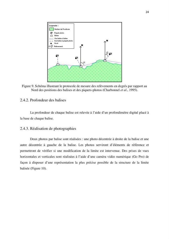 La mise en place d\'un réseau de surveillance de l\'herbier à posidonia oceanica de Boui-Ismail