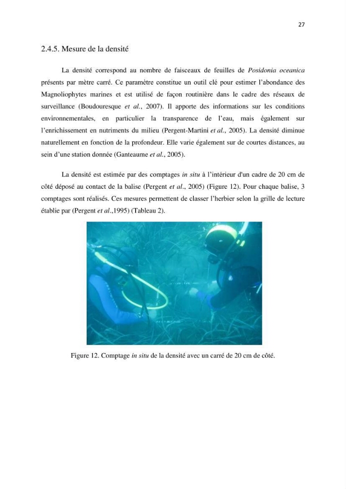 La mise en place d\'un réseau de surveillance de l\'herbier à posidonia oceanica de Boui-Ismail