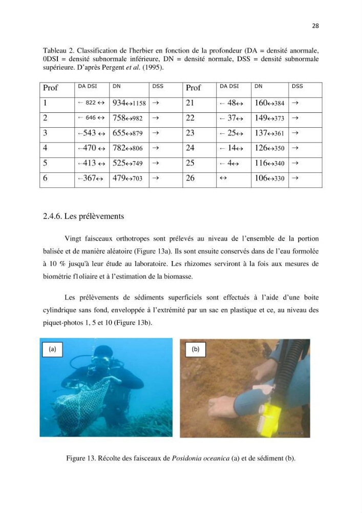 La mise en place d\'un réseau de surveillance de l\'herbier à posidonia oceanica de Boui-Ismail