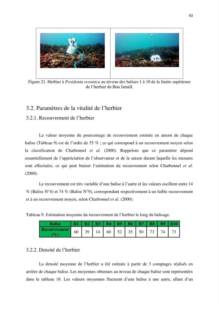 La mise en place d\'un réseau de surveillance de l\'herbier à posidonia oceanica de Boui-Ismail