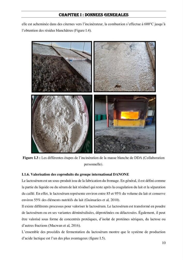 Valorisation des sous-produits de l\'industrie laitières (DANONE) en vue de la fabrication d\'un aliment aquacole: