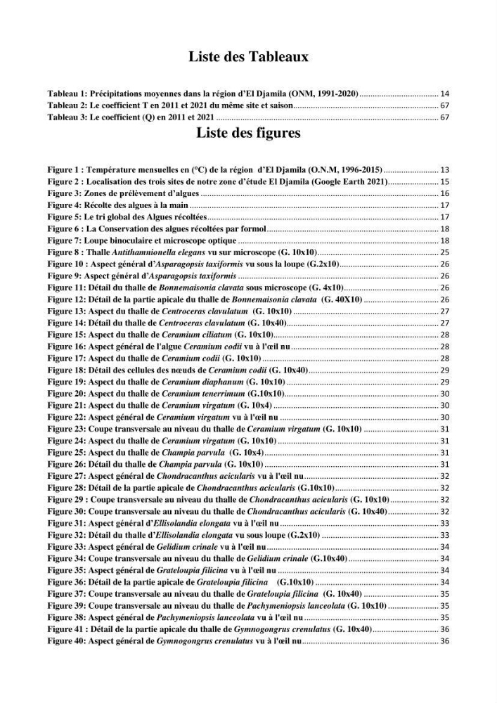 Biodiversité de la flore marine benthique de la region d\'El Djamila taxonomie et ecologie