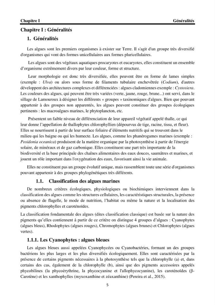 Biodiversité de la flore marine benthique de la region d\'El Djamila taxonomie et ecologie