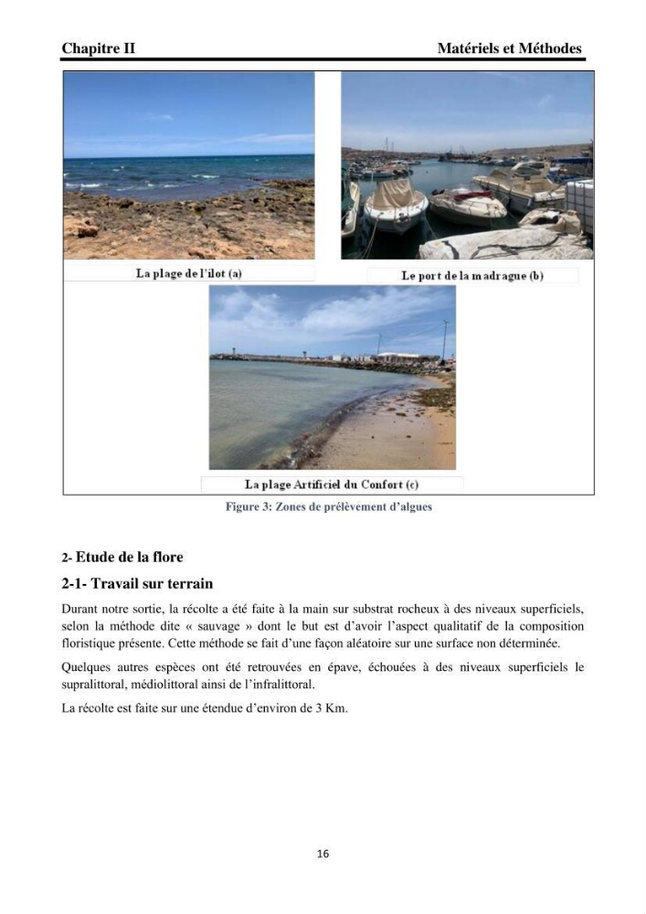 Biodiversité de la flore marine benthique de la region d\'El Djamila taxonomie et ecologie