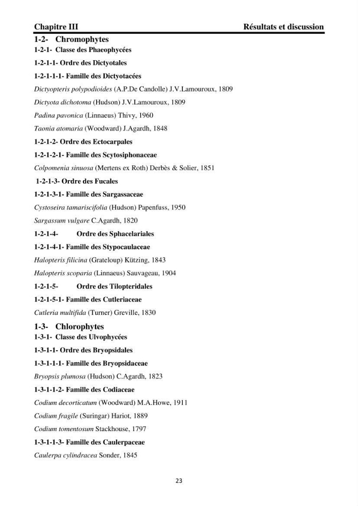 Biodiversité de la flore marine benthique de la region d\'El Djamila taxonomie et ecologie