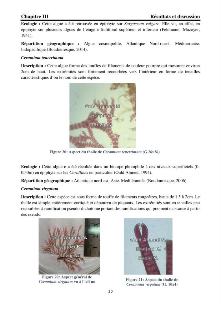 Biodiversité de la flore marine benthique de la region d\'El Djamila taxonomie et ecologie