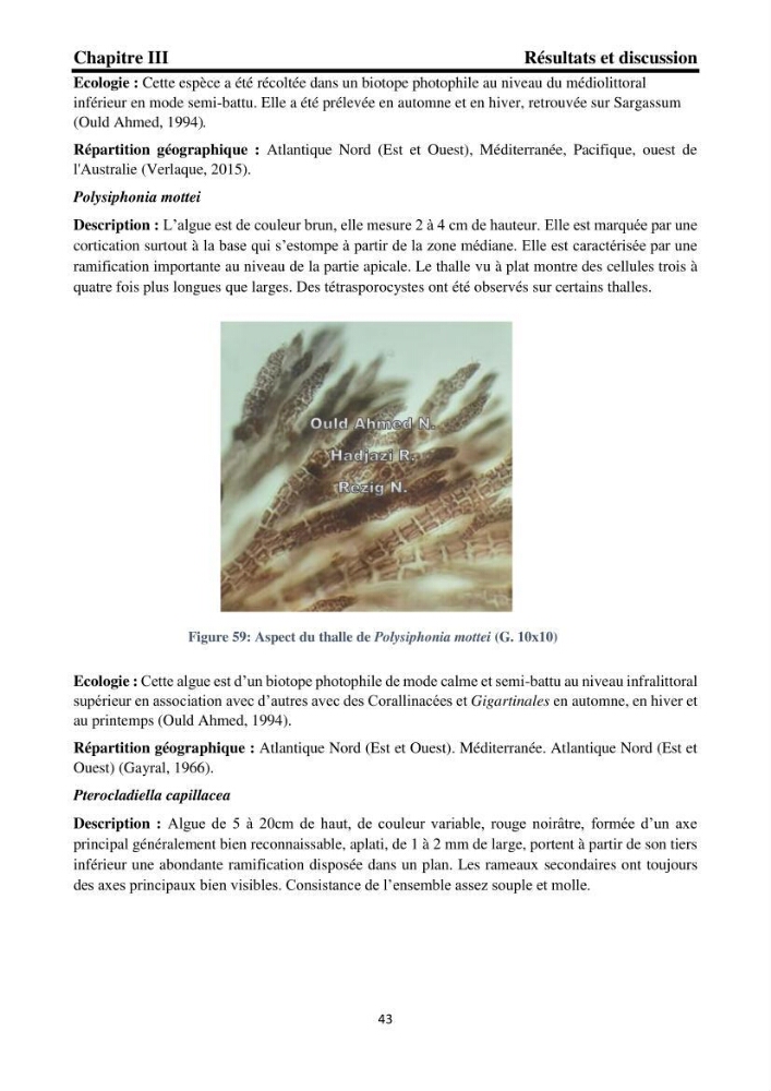 Biodiversité de la flore marine benthique de la region d\'El Djamila taxonomie et ecologie