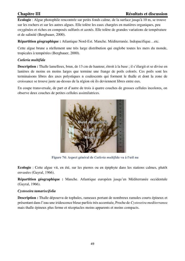 Biodiversité de la flore marine benthique de la region d\'El Djamila taxonomie et ecologie