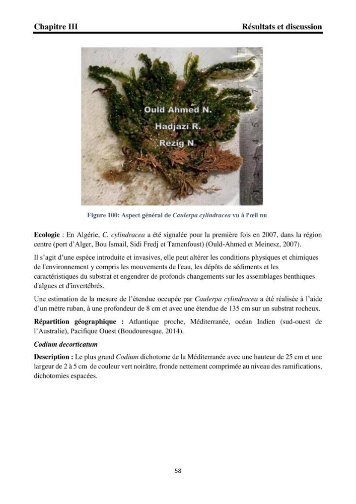 Biodiversité de la flore marine benthique de la region d\'El Djamila taxonomie et ecologie