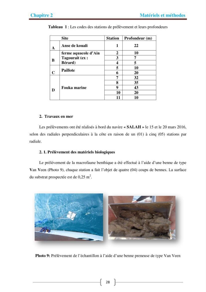 Caractérisation de la faune benthique d\'un site mytilicole dans la baie de Bou-Ismail : (Ain Tagourait)