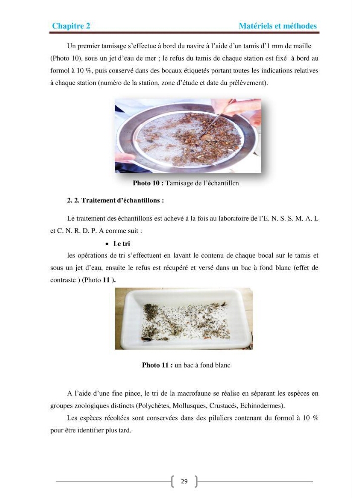 Caractérisation de la faune benthique d\'un site mytilicole dans la baie de Bou-Ismail : (Ain Tagourait)