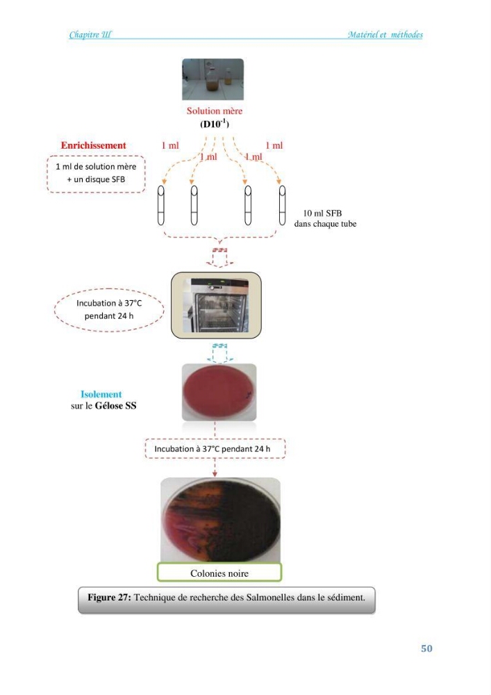 Détermination de l\'influence du rejet des eaux usées épurées par la STEP de Tipaza sur les caractéristiques physico-chimiques et bactériologiques des eaux de mer, cas de la plage de Chenoua
