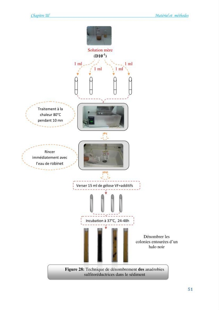 Détermination de l\'influence du rejet des eaux usées épurées par la STEP de Tipaza sur les caractéristiques physico-chimiques et bactériologiques des eaux de mer, cas de la plage de Chenoua