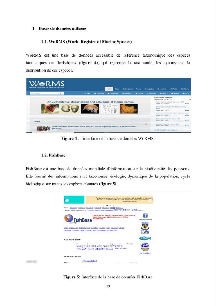 Distribution géographique et caractérisation de quelques espèces non indigènes de la côte algérienne