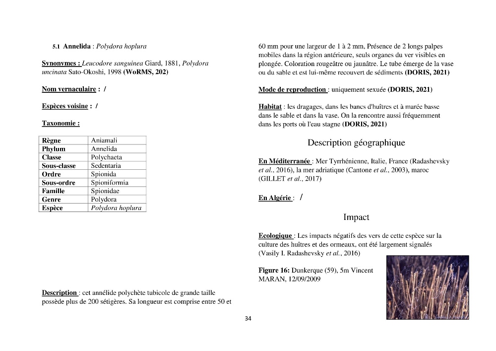 Distribution géographique et caractérisation de quelques espèces non indigènes de la côte algérienne