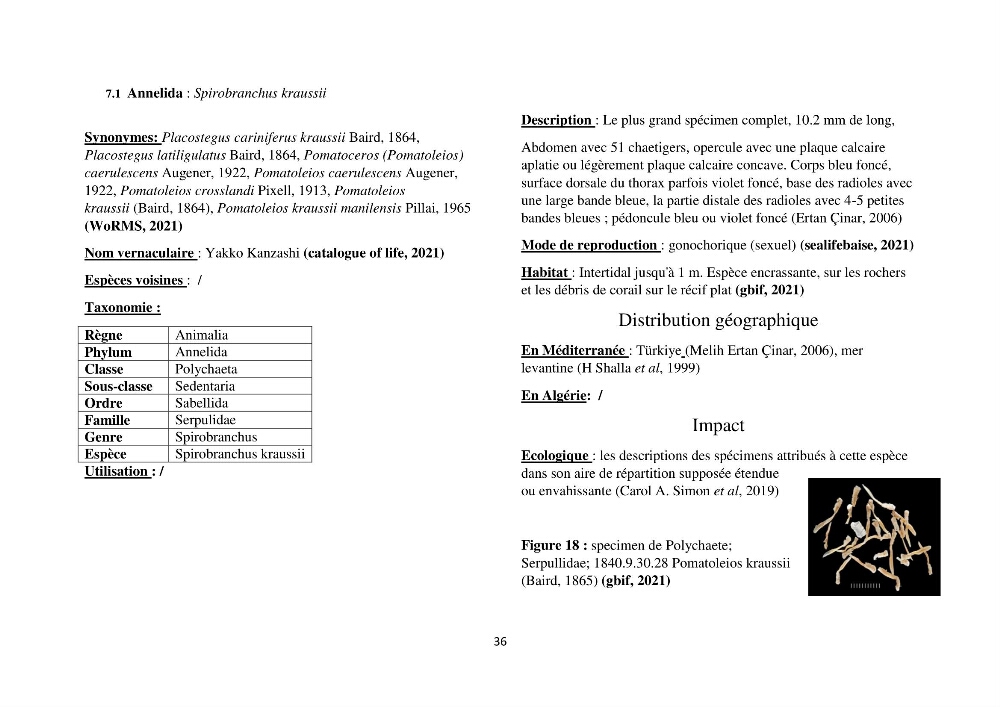 Distribution géographique et caractérisation de quelques espèces non indigènes de la côte algérienne