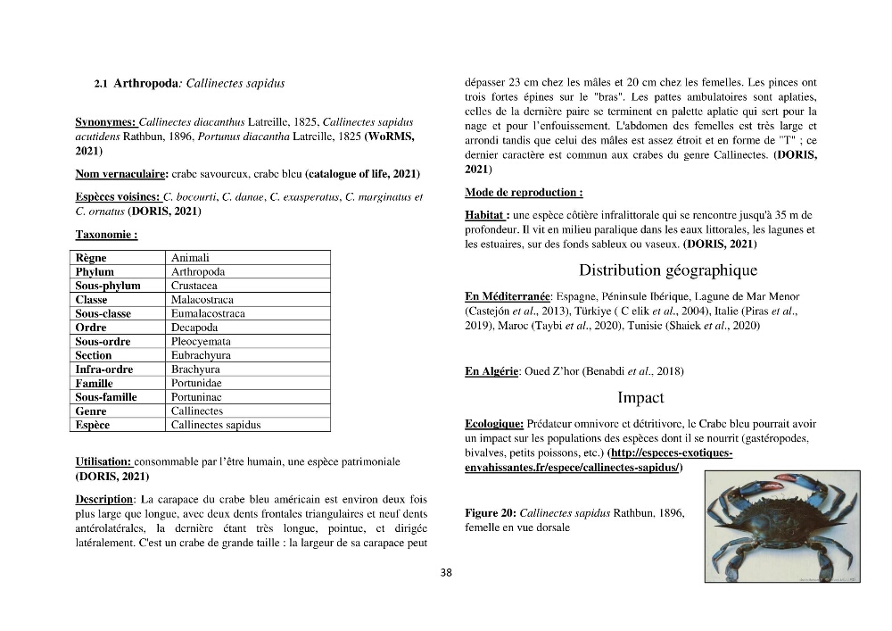 Distribution géographique et caractérisation de quelques espèces non indigènes de la côte algérienne