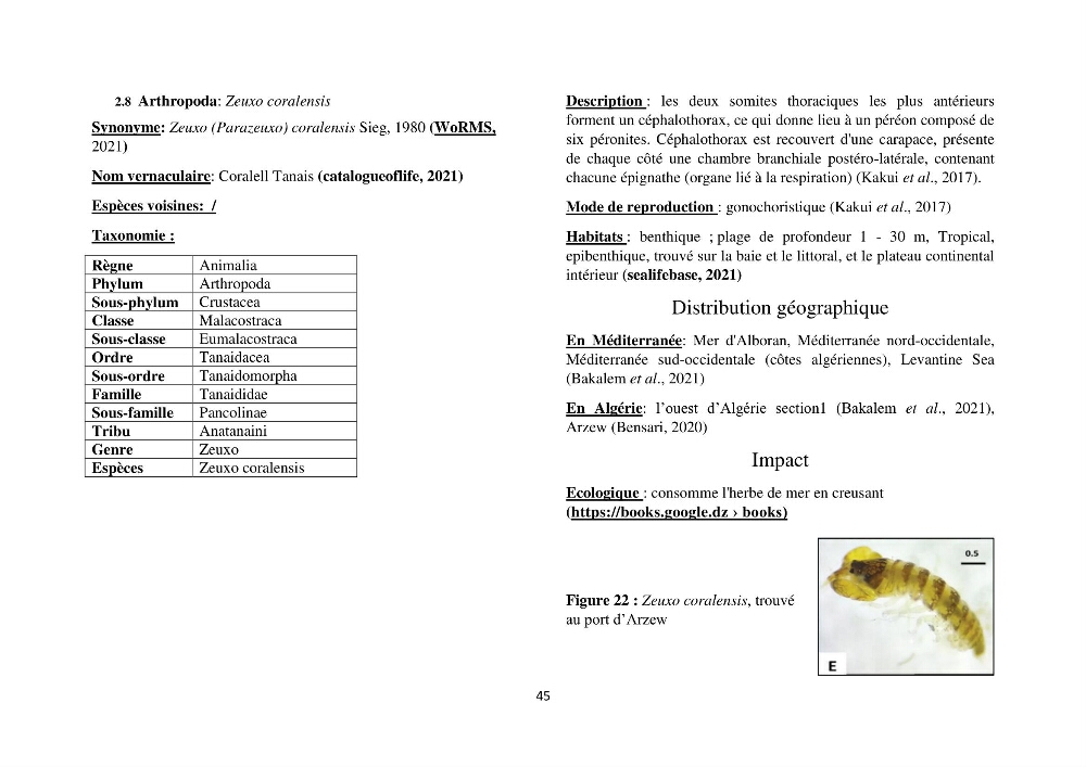 Distribution géographique et caractérisation de quelques espèces non indigènes de la côte algérienne