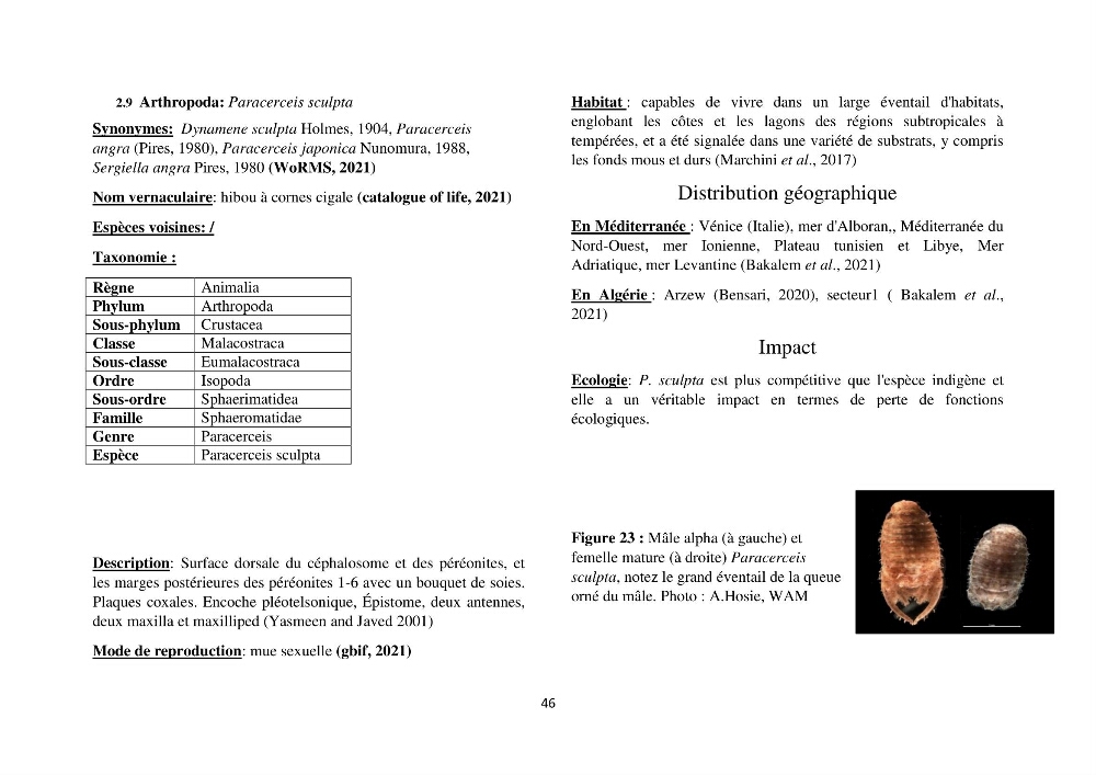 Distribution géographique et caractérisation de quelques espèces non indigènes de la côte algérienne