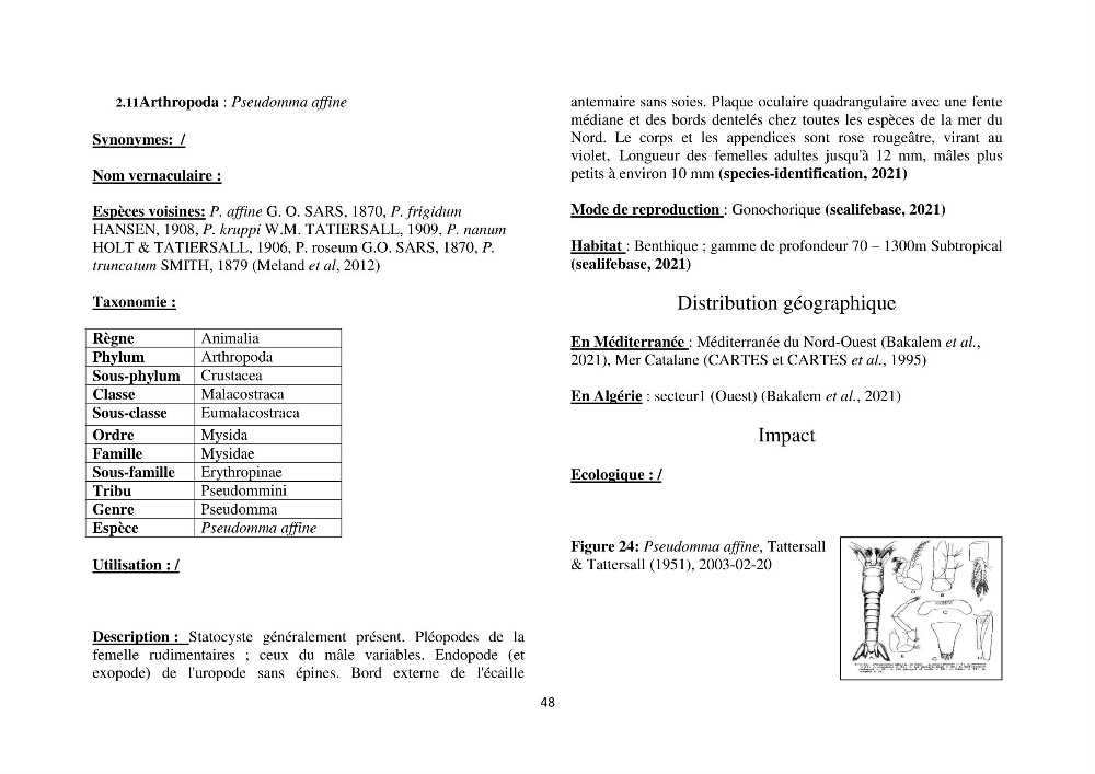 Distribution géographique et caractérisation de quelques espèces non indigènes de la côte algérienne