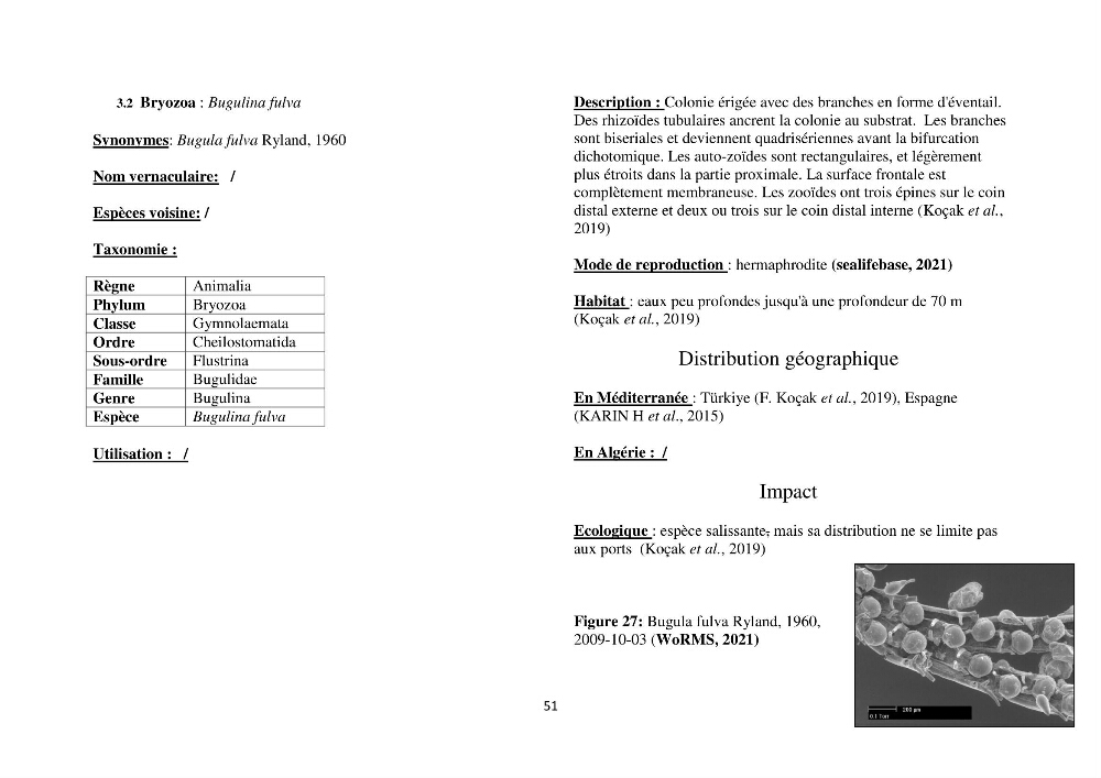 Distribution géographique et caractérisation de quelques espèces non indigènes de la côte algérienne