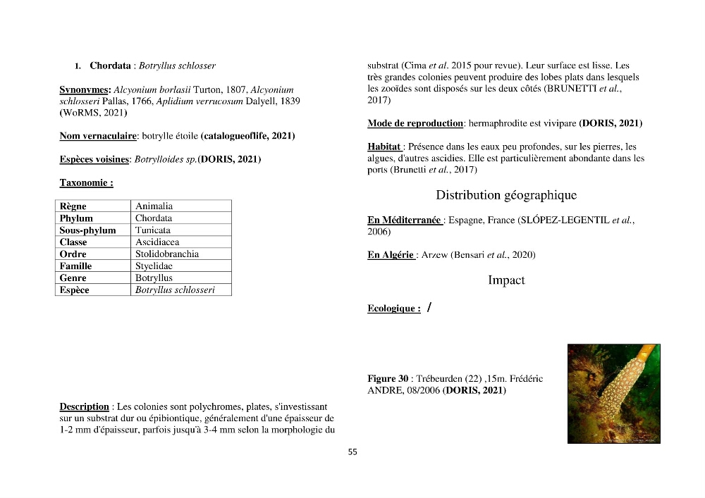 Distribution géographique et caractérisation de quelques espèces non indigènes de la côte algérienne