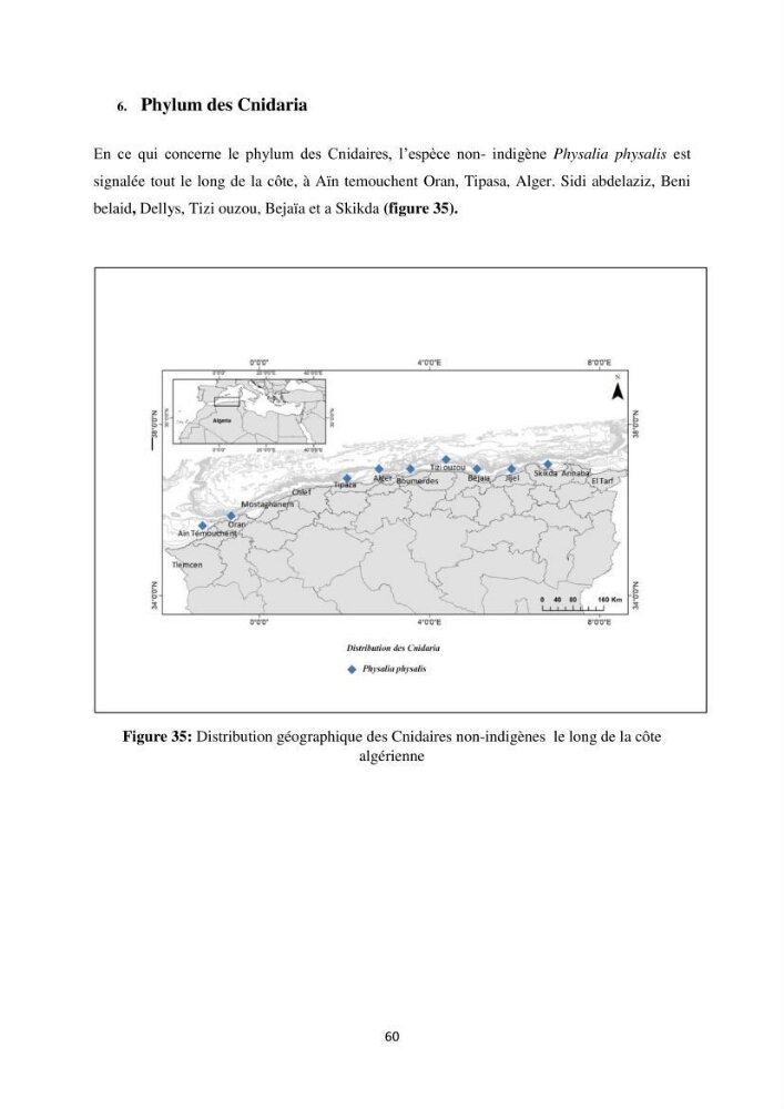Distribution géographique et caractérisation de quelques espèces non indigènes de la côte algérienne