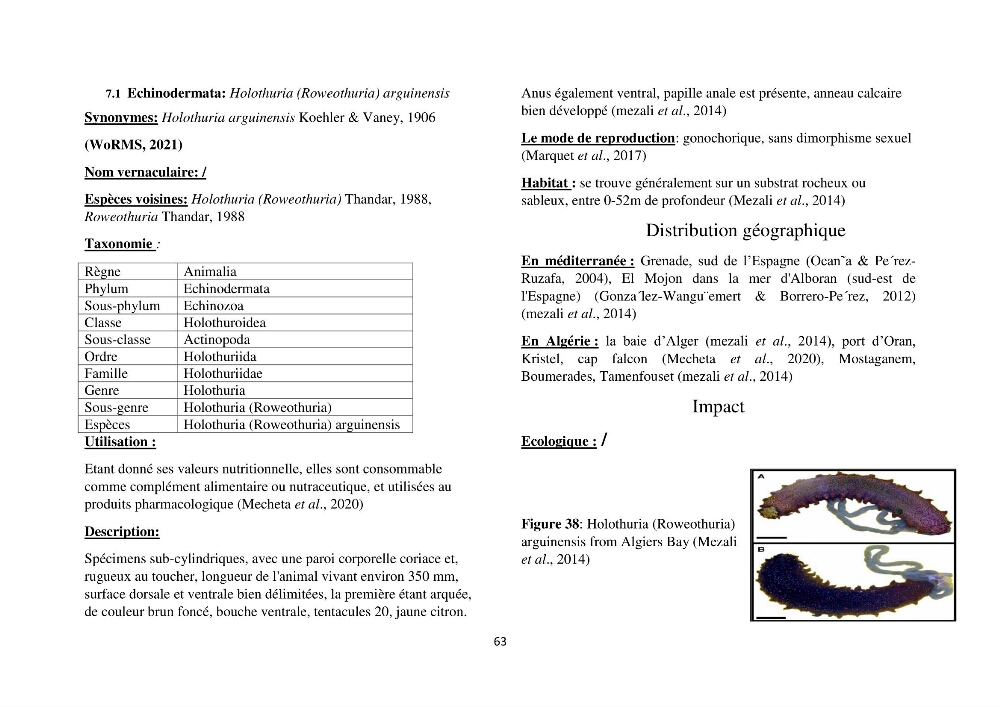 Distribution géographique et caractérisation de quelques espèces non indigènes de la côte algérienne