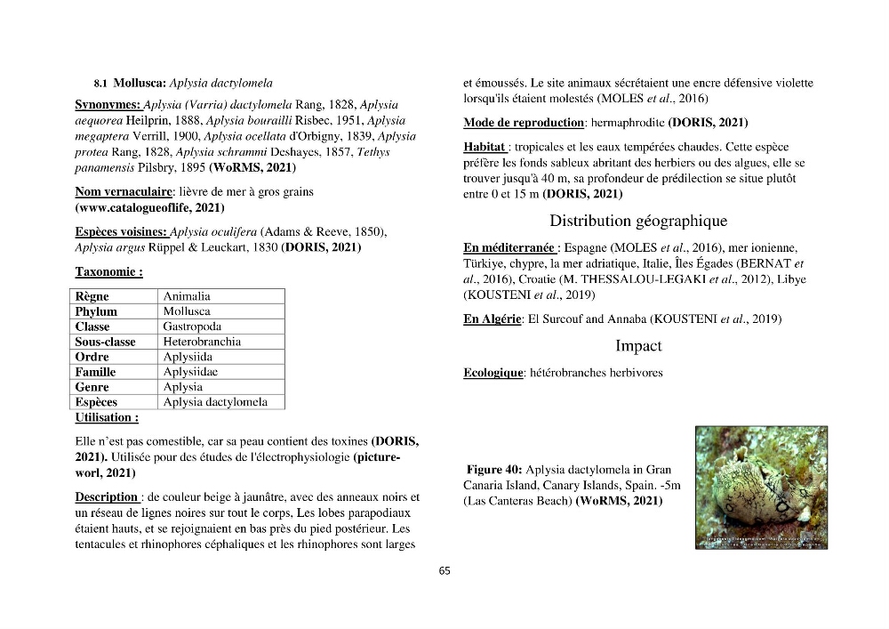 Distribution géographique et caractérisation de quelques espèces non indigènes de la côte algérienne