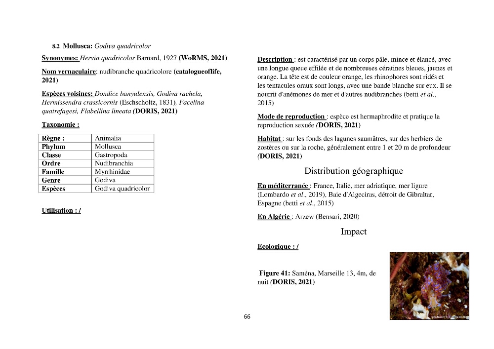 Distribution géographique et caractérisation de quelques espèces non indigènes de la côte algérienne