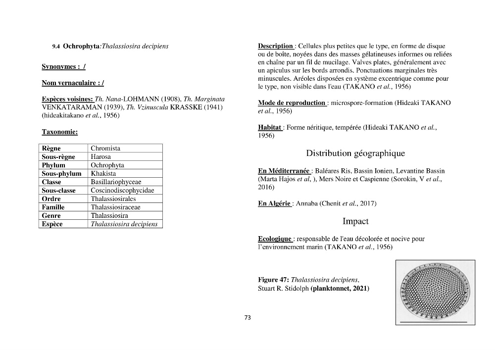 Distribution géographique et caractérisation de quelques espèces non indigènes de la côte algérienne