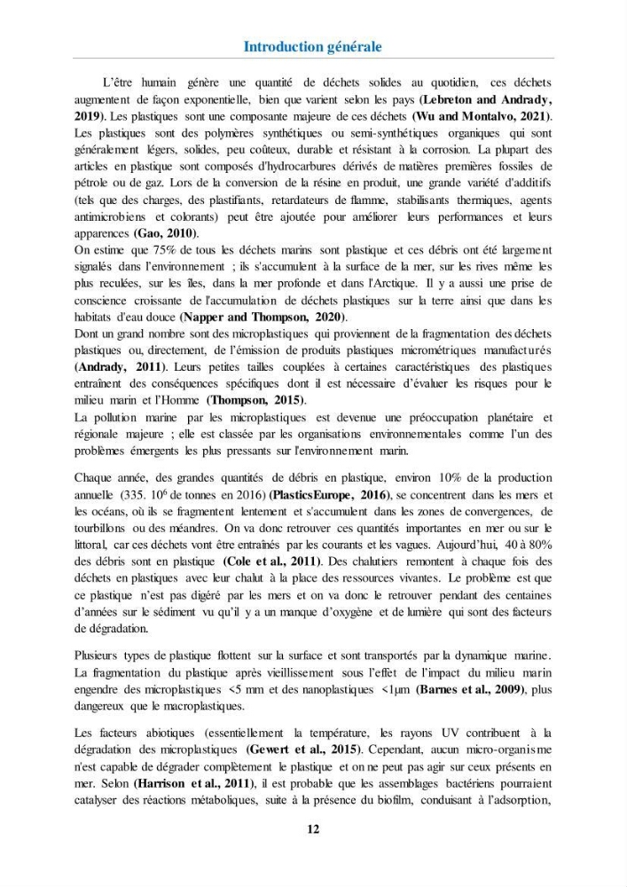 Etude de l\'évaluation quantitative et qualitative des microplastiques sur les côtes algériennes