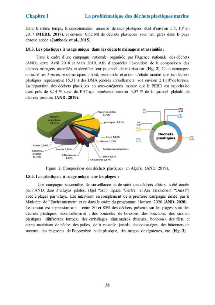Etude de l\'évaluation quantitative et qualitative des microplastiques sur les côtes algériennes
