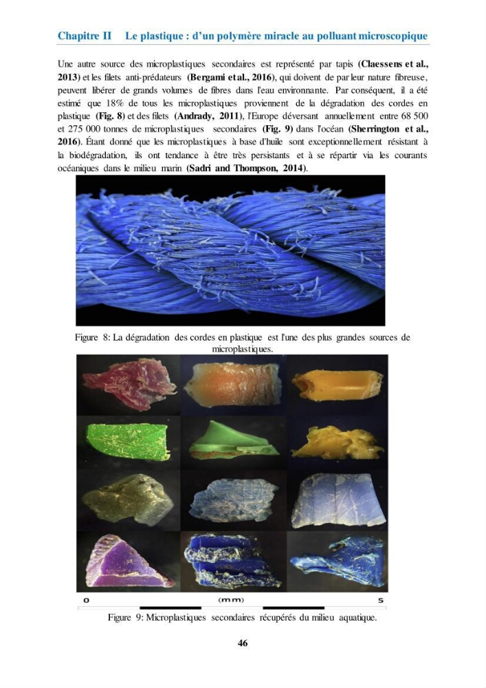 Etude de l\'évaluation quantitative et qualitative des microplastiques sur les côtes algériennes
