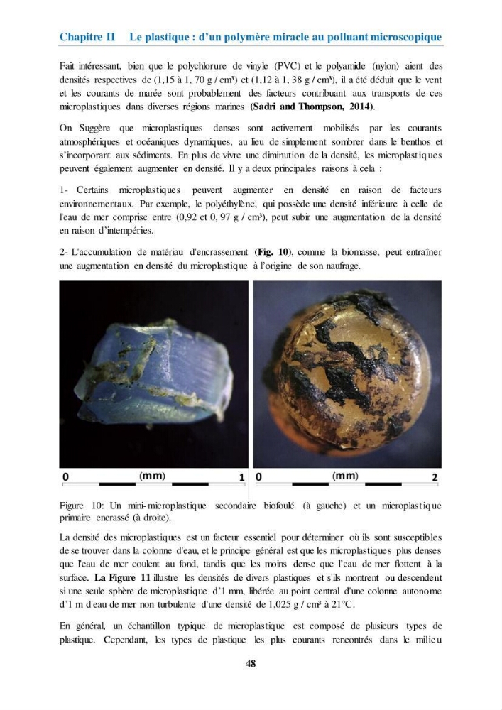 Etude de l\'évaluation quantitative et qualitative des microplastiques sur les côtes algériennes