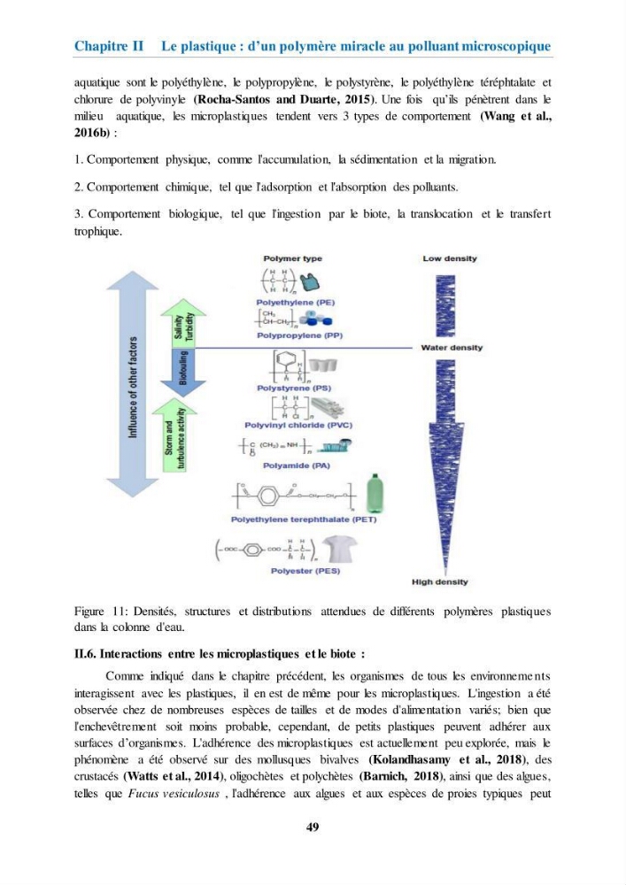 Etude de l\'évaluation quantitative et qualitative des microplastiques sur les côtes algériennes