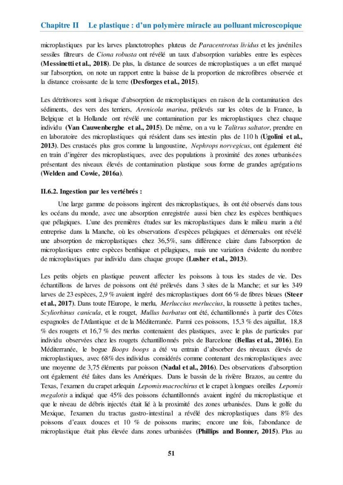 Etude de l\'évaluation quantitative et qualitative des microplastiques sur les côtes algériennes