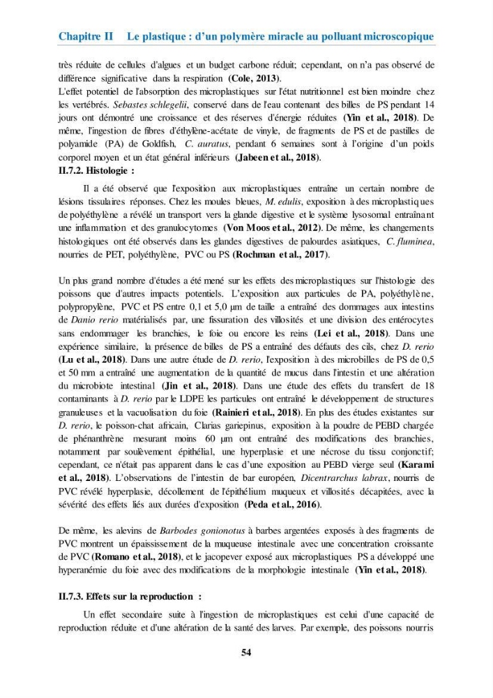 Etude de l\'évaluation quantitative et qualitative des microplastiques sur les côtes algériennes