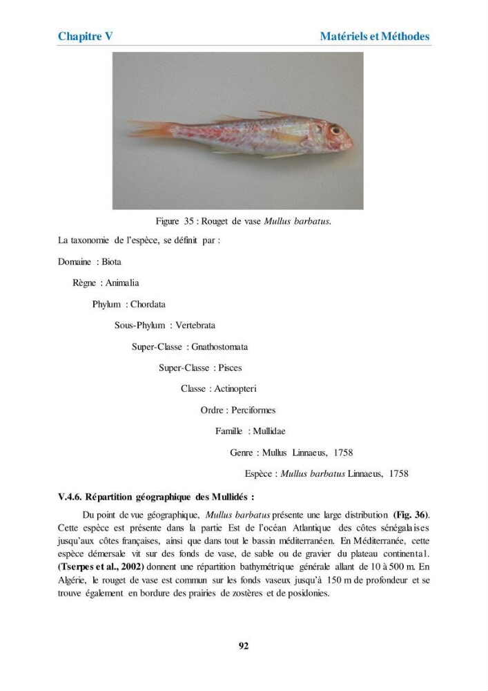 Etude de l\'évaluation quantitative et qualitative des microplastiques sur les côtes algériennes