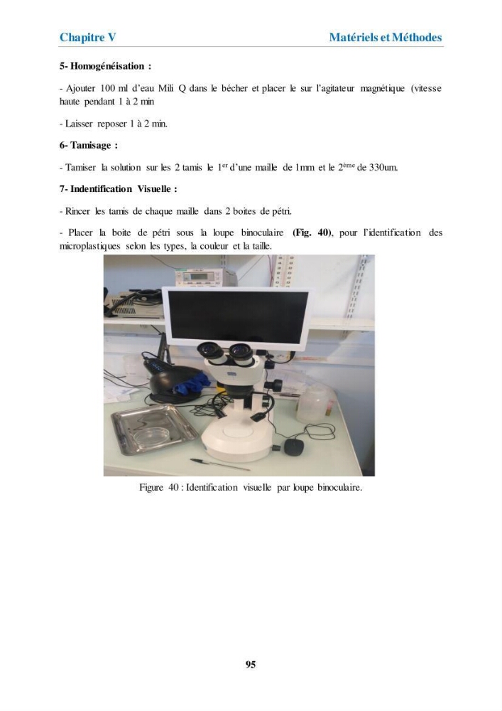 Etude de l\'évaluation quantitative et qualitative des microplastiques sur les côtes algériennes