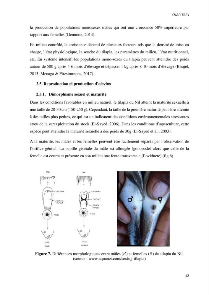 Effet de l’élevage en système biofloc sur les performances zootechniques et physiologiques du Tilapia « Oreochromis niloticus »