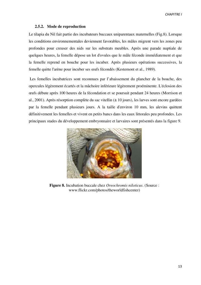 Effet de l’élevage en système biofloc sur les performances zootechniques et physiologiques du Tilapia « Oreochromis niloticus »