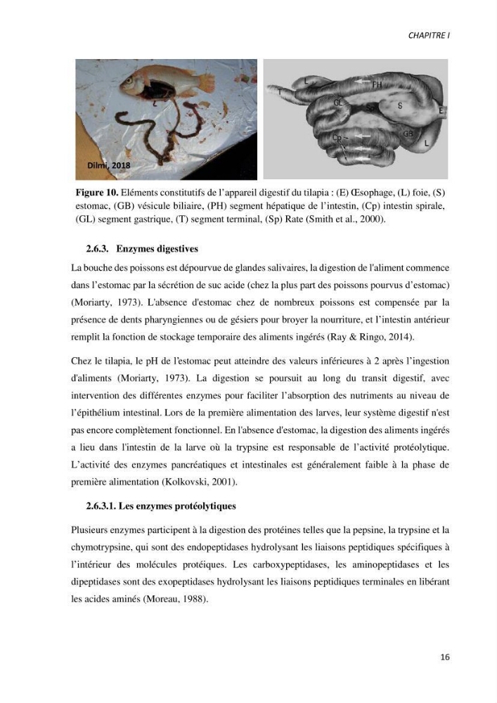 Effet de l’élevage en système biofloc sur les performances zootechniques et physiologiques du Tilapia « Oreochromis niloticus »