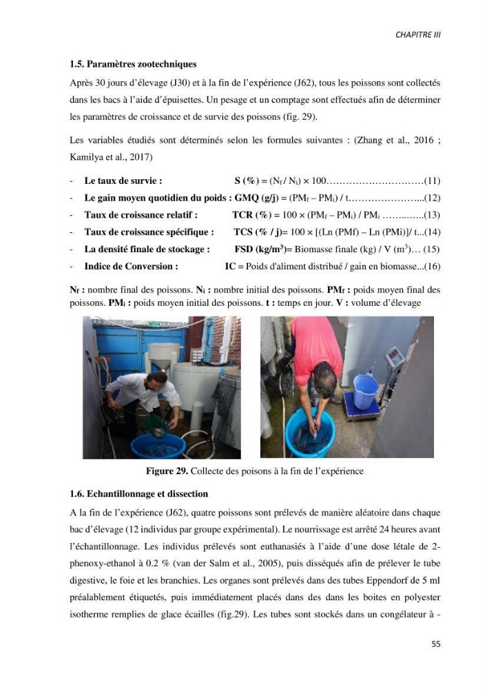 Effet de l’élevage en système biofloc sur les performances zootechniques et physiologiques du Tilapia « Oreochromis niloticus »