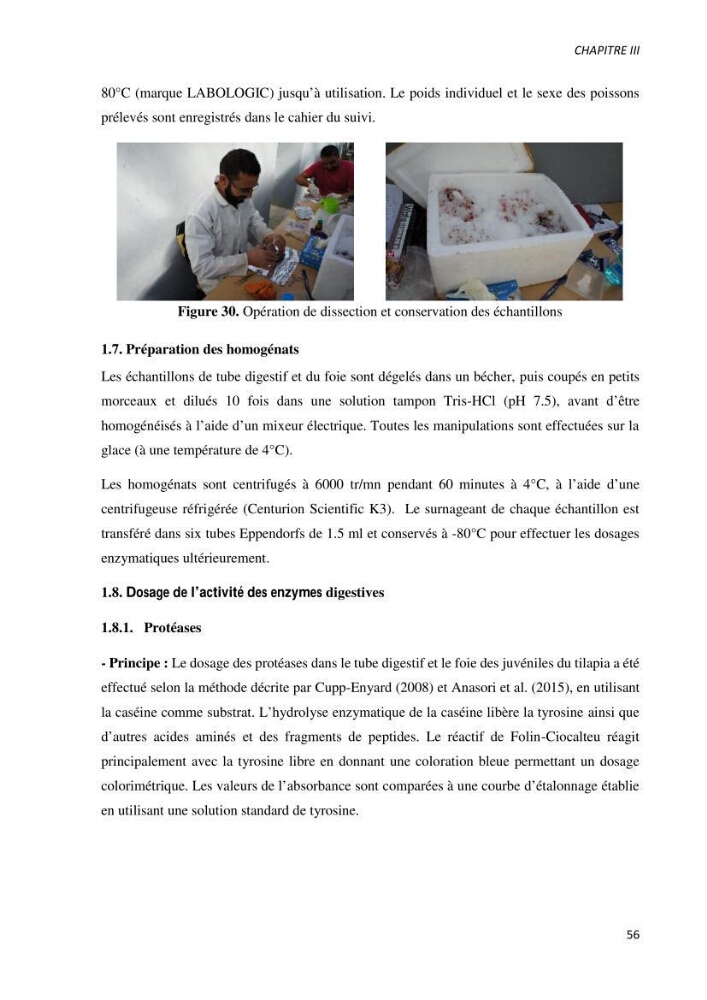 Effet de l’élevage en système biofloc sur les performances zootechniques et physiologiques du Tilapia « Oreochromis niloticus »